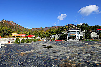 狼群影院2019｜影院风云：狼群领航，影界新潮-1