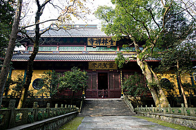 老婆给他打电话他却在车｜车途通话奇遇：揭秘现代沟通新境界-4