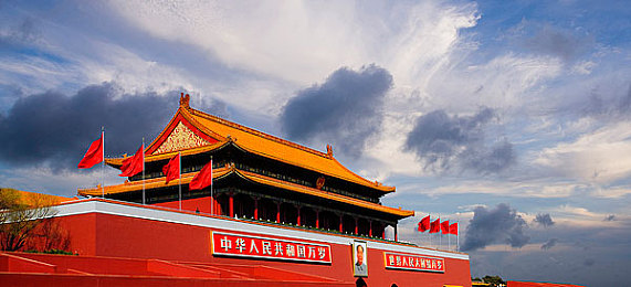 久艹｜绿色久艹：城市绿意，生活宜居之旅-3