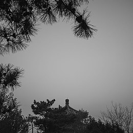 黄色软件下载0.3免费oppo版破解大全苹果｜破解风云：揭秘“黄软”免费版，Oppo与苹果兼容大揭秘-2