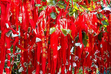 363影视｜影视盛宴，高清畅享，363影视带你畅游影视世界-3