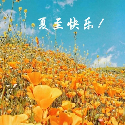 你看到我的鸟了笔趣阁｜网友笔趣阁寻鸟行动：网络助力，爱心汇聚，共寻失宠-3