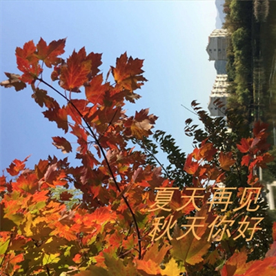 红桃视频网站｜影视盛宴，红桃世界，畅享视听之旅-5