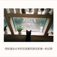水母娘娘最出名的三个角色｜水母娘娘：海神传说与现代文化的交融之光-3